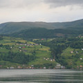 DSC_0133.jpg
